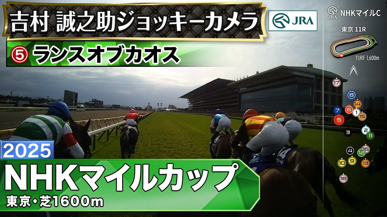 ジョッキーカメラ】ランスオブカオス騎乗の吉村誠之助騎手ジョッキー