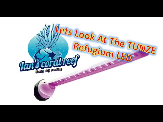 Let's look at the Tunze Refugium LED - YouTube