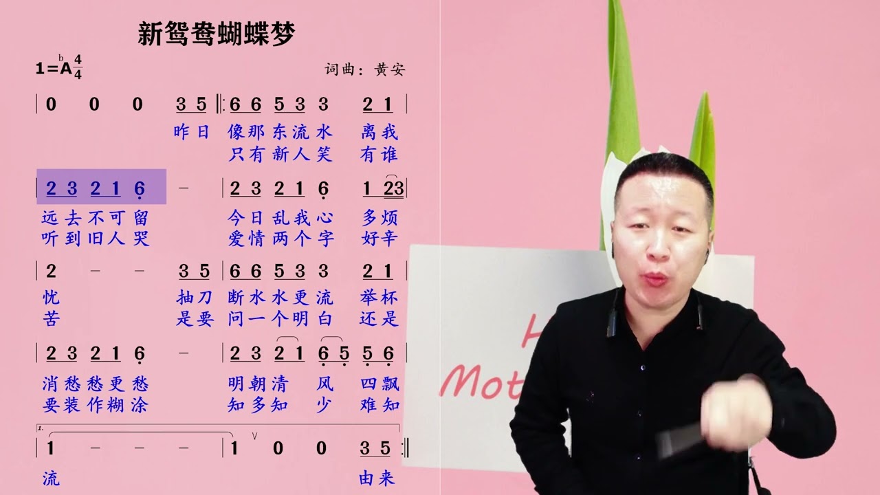 抽刀断水水更流、举杯消愁愁更愁，《新鸳鸯蝴蝶梦》歌词领唱！ - YouTube