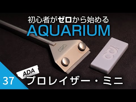 ADA プロレイザー＋ミニ＋替刃3枚 ADAプロレイザーで水槽のコケ取り