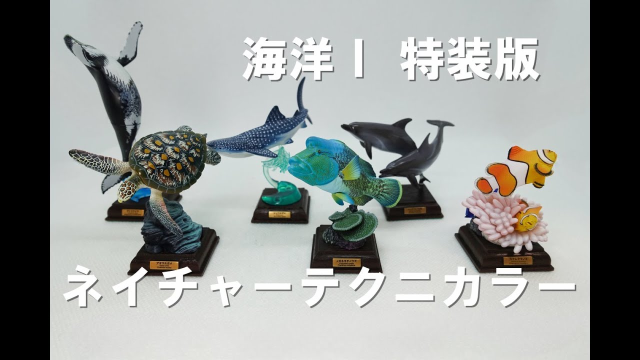 ガチャ】ネイチャーテクニカラー 海洋Ⅰ特装版です。再販されるだけの