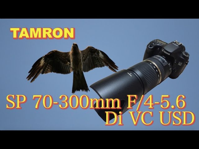 TAMRON SP70-300mm F/4-5.6 Di VC USD A005（キヤノン用)の話 VS SIGMA