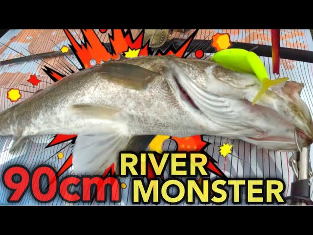 ビッグベイトシーバス】KLASH9 is a lure for catching Monster Fish