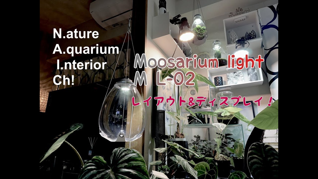 DOOAパルダライト60ガラスポットMARU用展示スタンド！ - YouTube