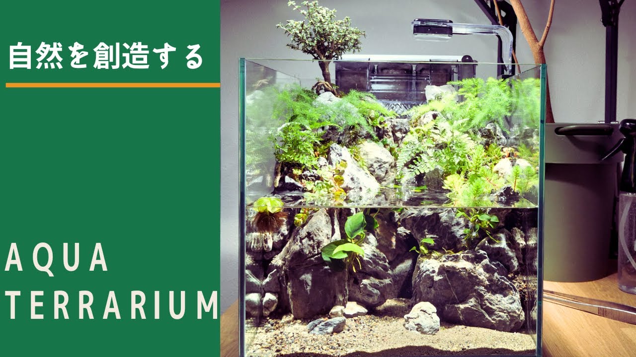 滝の流れるアクアテラリウム - YouTube