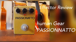 Human Gear Passionatto】コードを弾いた時に濁らない。分離に優れた