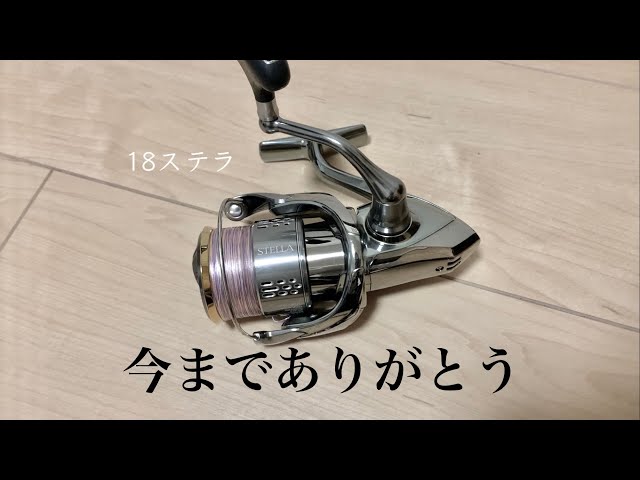 Finally 22 Stella is here!! - YouTube