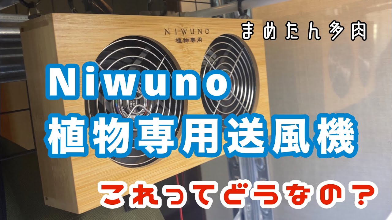 93 Niwuno植物専用送風機 これってどうなの？ - YouTube