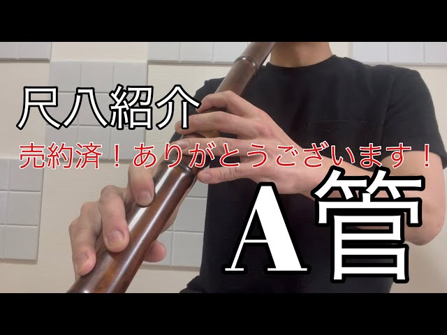 235尺八本体 ニ尺管 倫童銘ニ印 235尺八本体