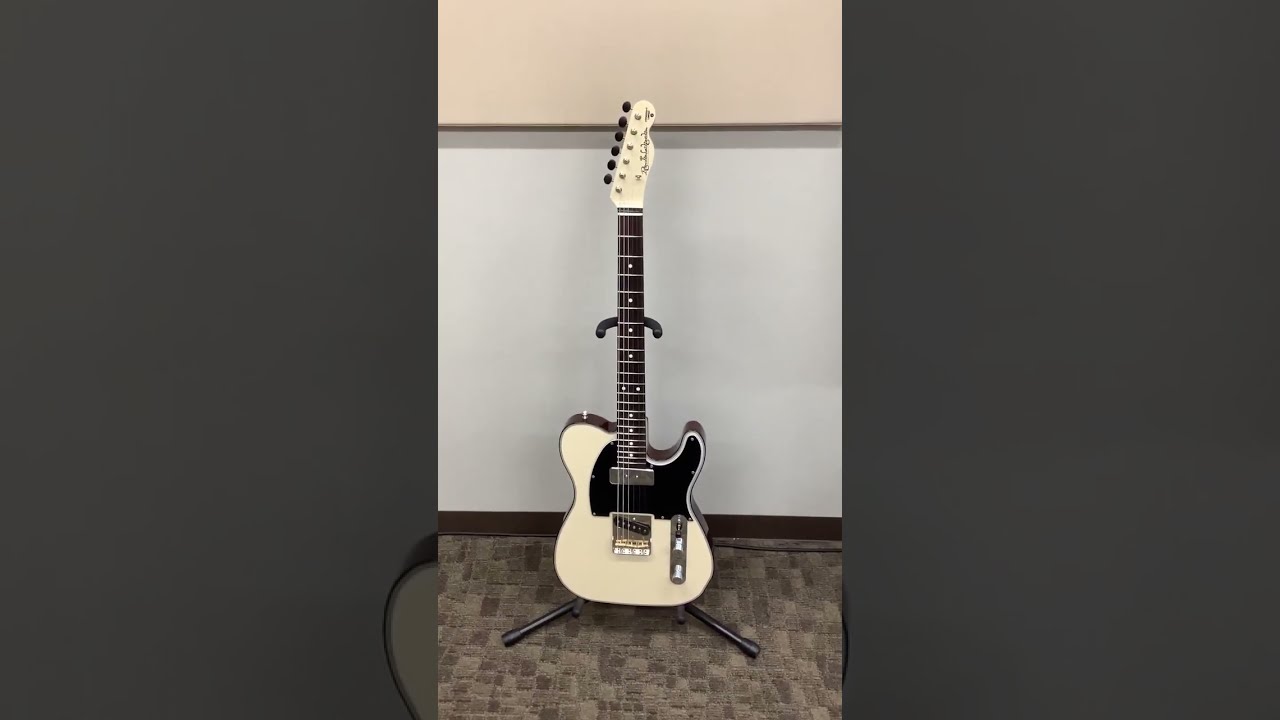 Psychederhythm Standard-T サイケデリズム 【島村楽器京都桂川店