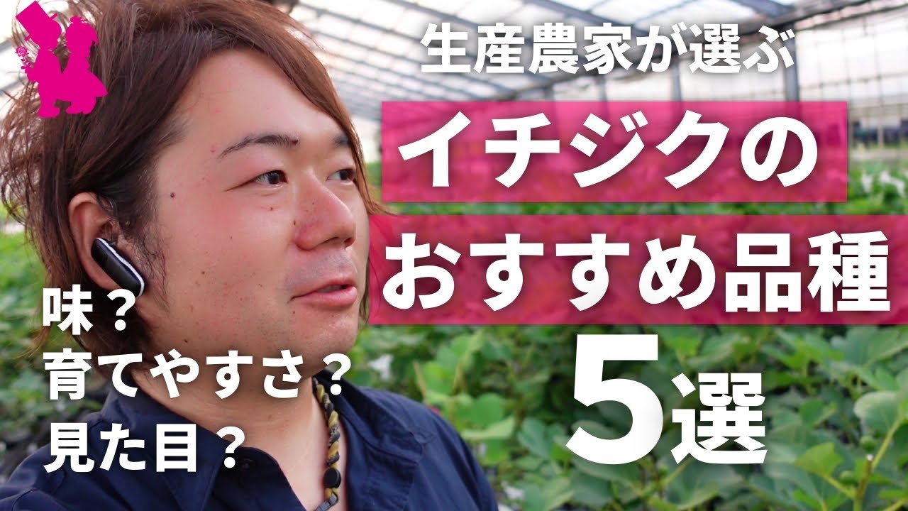 Figs] 5 varieties highly recommended by growers + bonus - YouTube