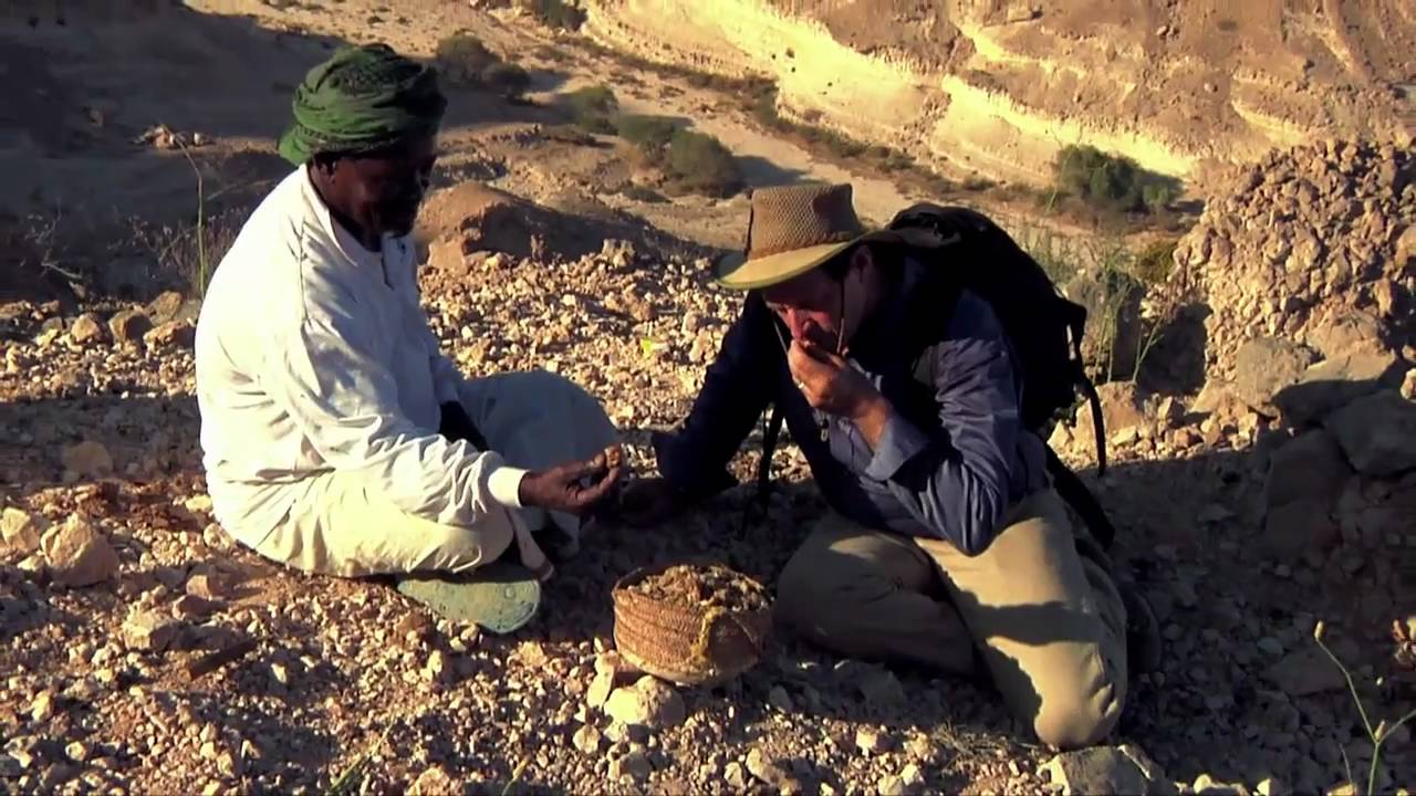 ヤングリビング-セイクレッドフランキンセンス 5ml | ヤング・リビング