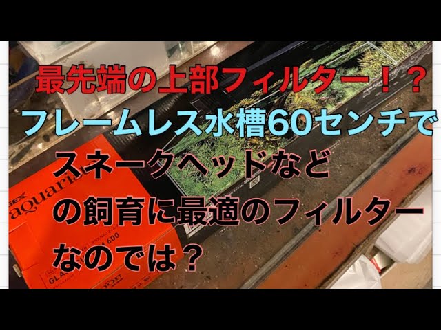 A stylish, cutting-edge top filter perfect for keeping snakeheads