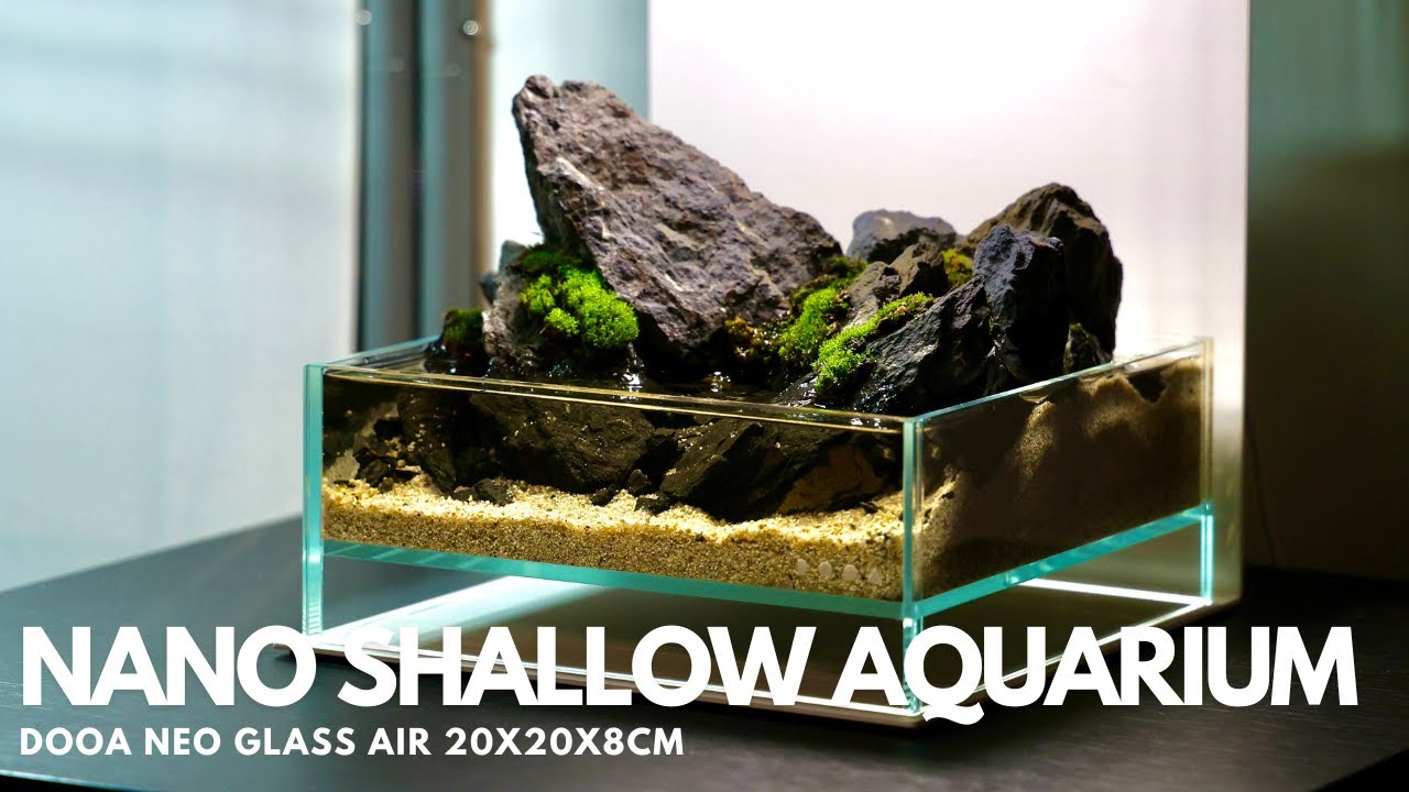Creating a Nano Shallow Aquarium - DOOA Neo Glass Air 20x20x8