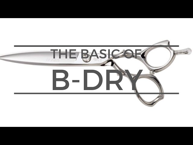The Basic holding style and technique of the B-Dry. - YouTube