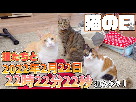 hqdefault.jpg?v=62145bb7