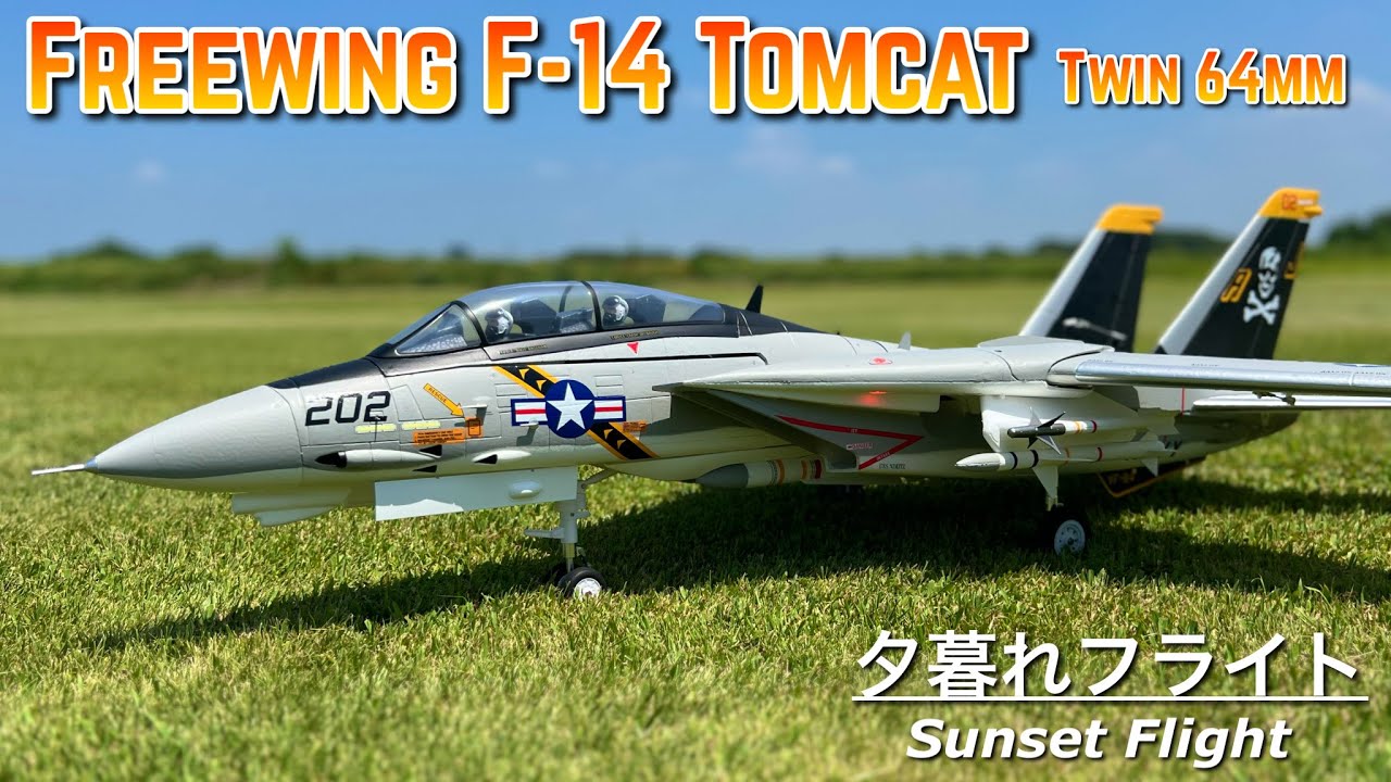 ラジコン飛行機 『F-14A トムキャット ジョリーロジャース』を飛ばして
