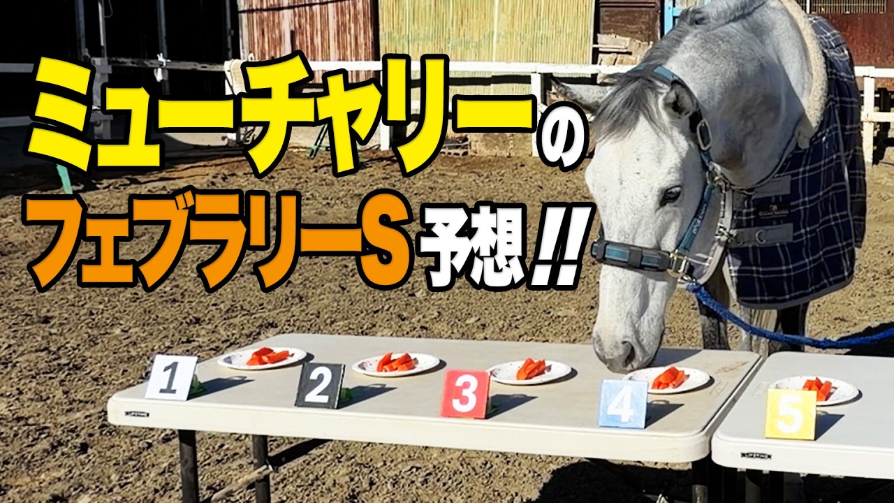 6月1日 第92回 日本ダービー】「64年ぶりの夢叶う！牝馬が見事に決め