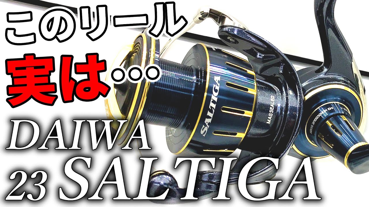 DAIWA SEALINE SLW20HL 両軸リール ダイワ DAIWA SEALINE SLW20HL 両軸