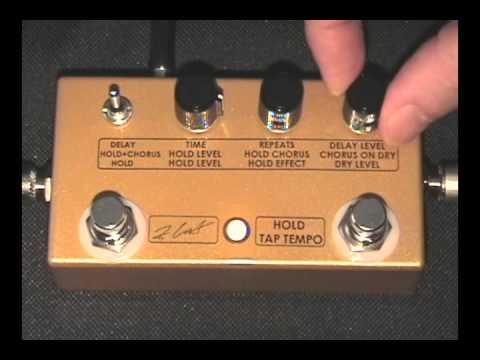 ZCAT - HOLD - DELAY - CHORUS Pedal - YouTube