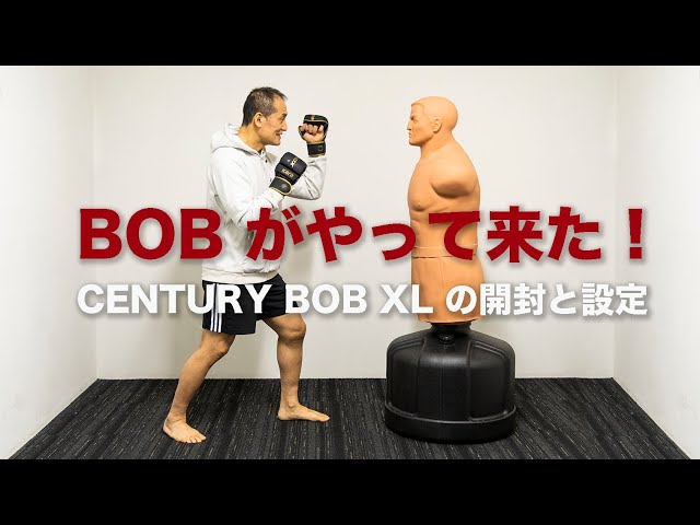 BOB がやって来た！