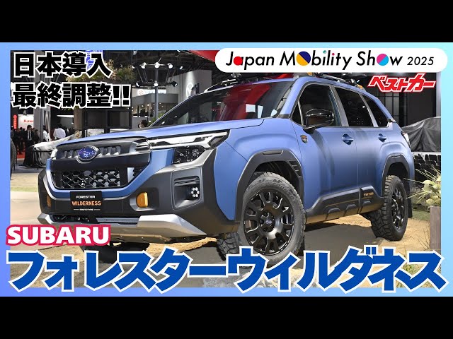 ⭐︎インドカレー⭐︎SUBARU スバル フォレスター sk 純正トノカバー