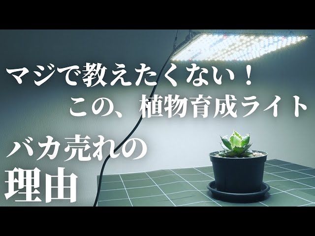 超おすすめ】大本命！植物育成用LEDパネルライト「GL-BOARD 5000