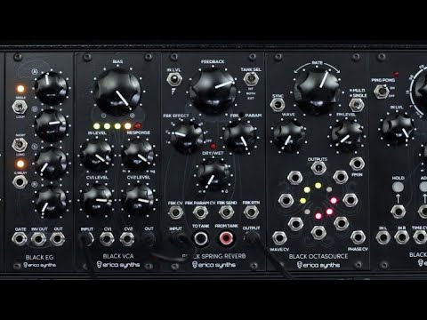 鍵盤楽器 Erica Synths Black Stereo Reverb Erica Erica Synths