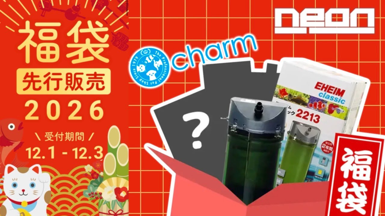 2026先行販売！福袋】3日間限定で買える！charm先行販売福袋！【 ne0n