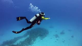 シーサーが提案！水中スクーターでラクして続けるダイビング｜沖縄