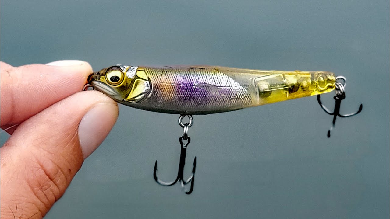 Pond Bass Destroyed this Japanese Topwater Lure ! (Megabass Dog X