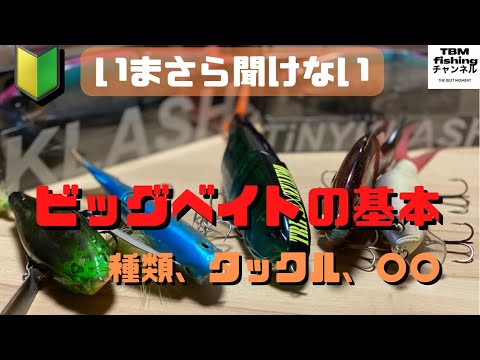 バス釣り】ビッグベイトの基本を徹底解説！初心者が釣るためのコツは〇