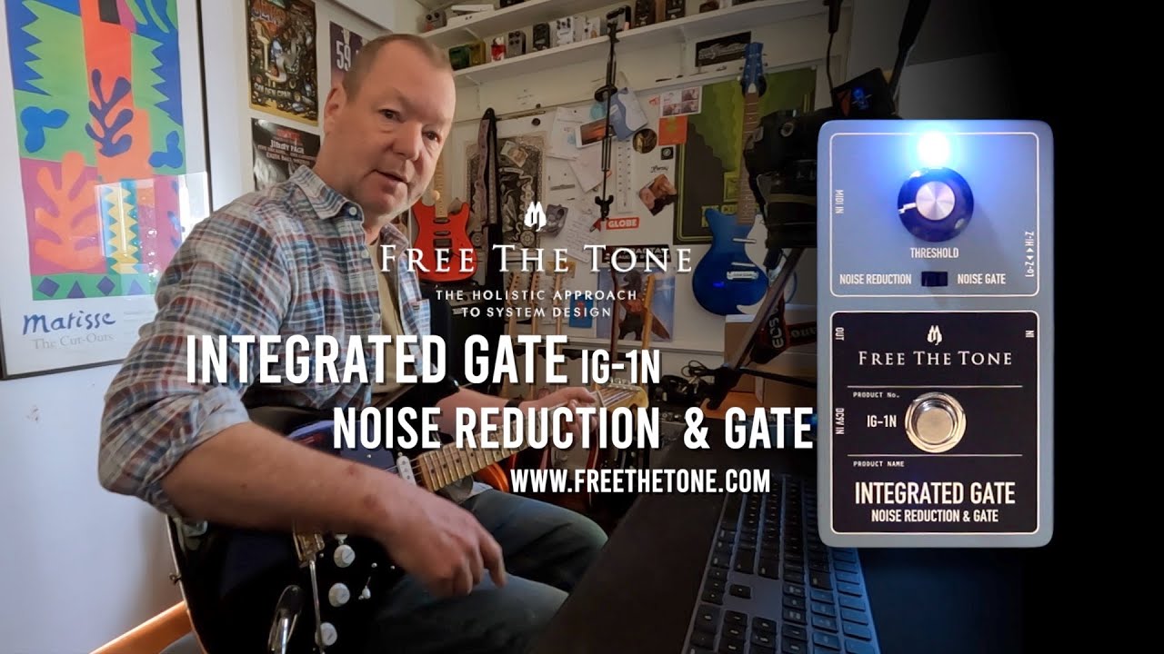 Free The Tone: INTEGRATED GATE IG-1N Noise Reduction & Gate - YouTube