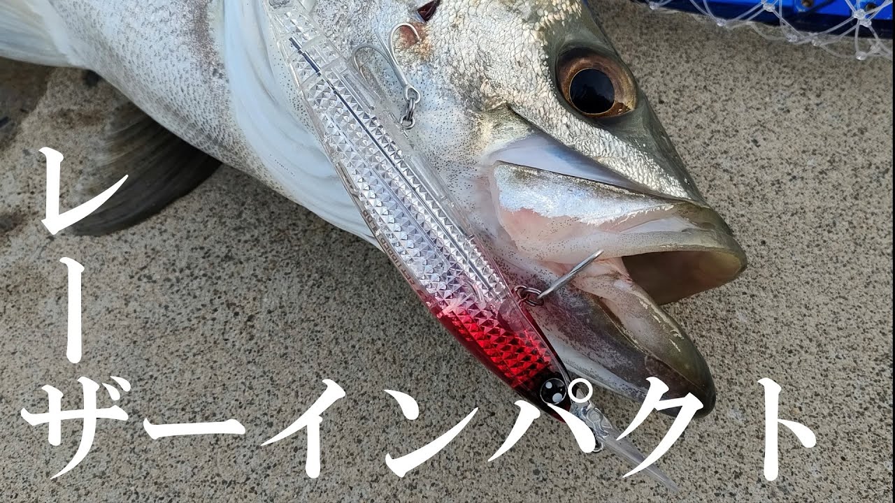 新技術「レーザーインパクト」が搭載された元々釣れるルアー【DAIWA