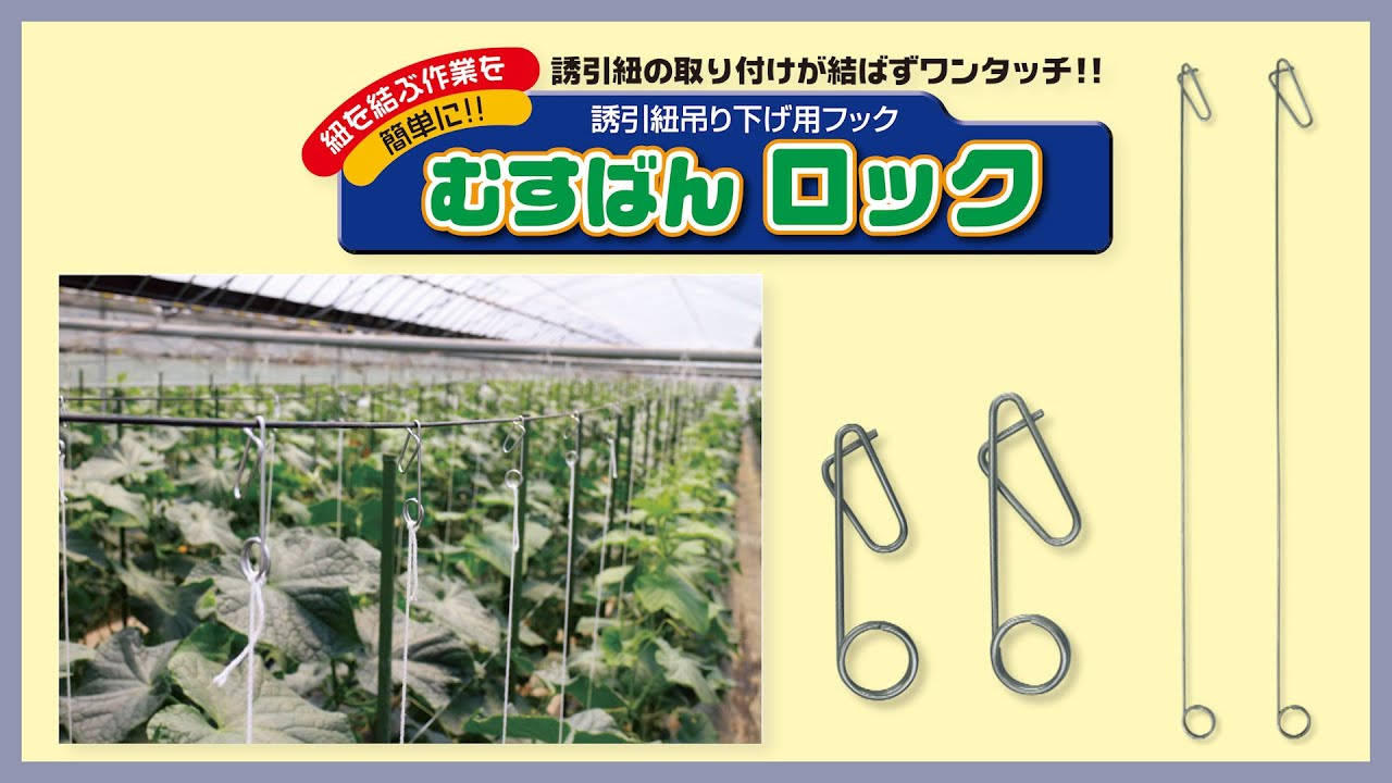 商品紹介】むすばんロックM・S・Mロング・Sロング｜有限会社シーム