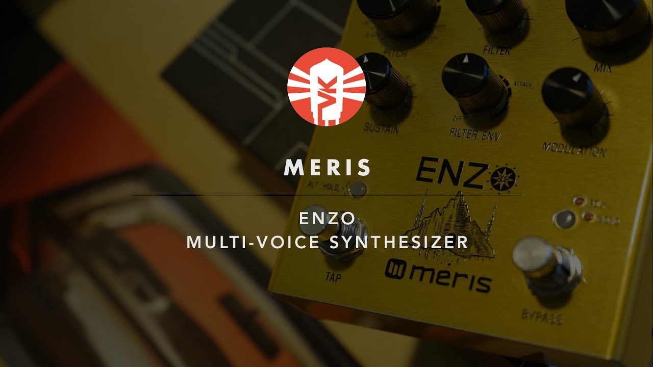 Meris Enzo - Meris Synthesizer Pedal - Meris Enzo Pedal - Vintage King