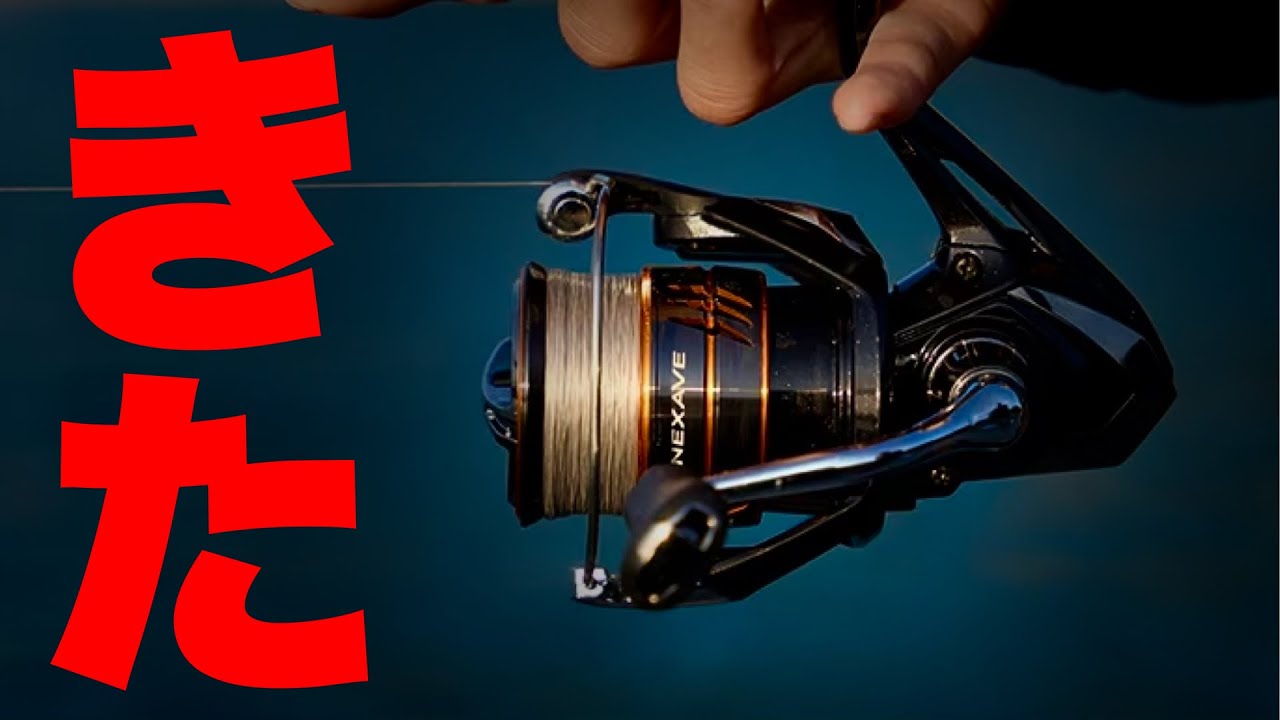 Shimano secretly announced a super low-priced spinning reel behind