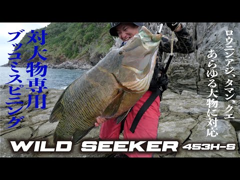 We'll explain all the features of the SHOREBASE WILDSEEKER 453H-S