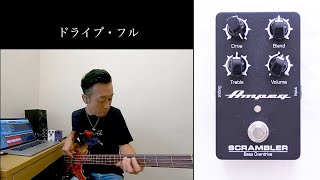 CLASSIC & SCRAMBLER 川崎哲平レビュー - Ampeg Japan