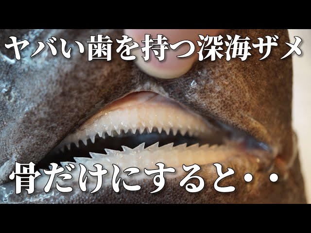 I made a skeleton of the head of a deep-sea shark with scary teeth