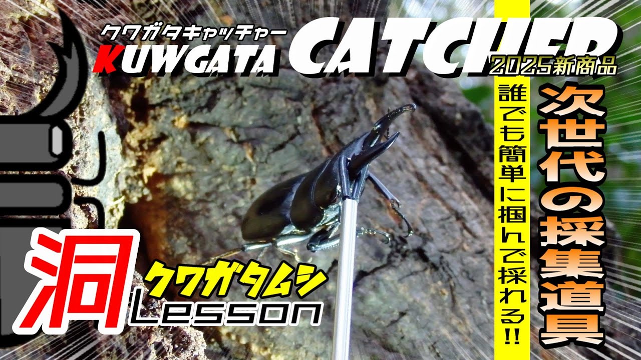 オオクワガタ・ヒラタクワガタ採集の必需品！「ひっかき棒