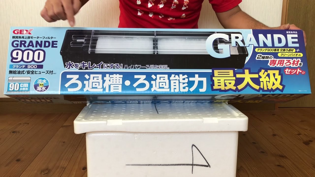 maxresdefault.jpg?sqp=-