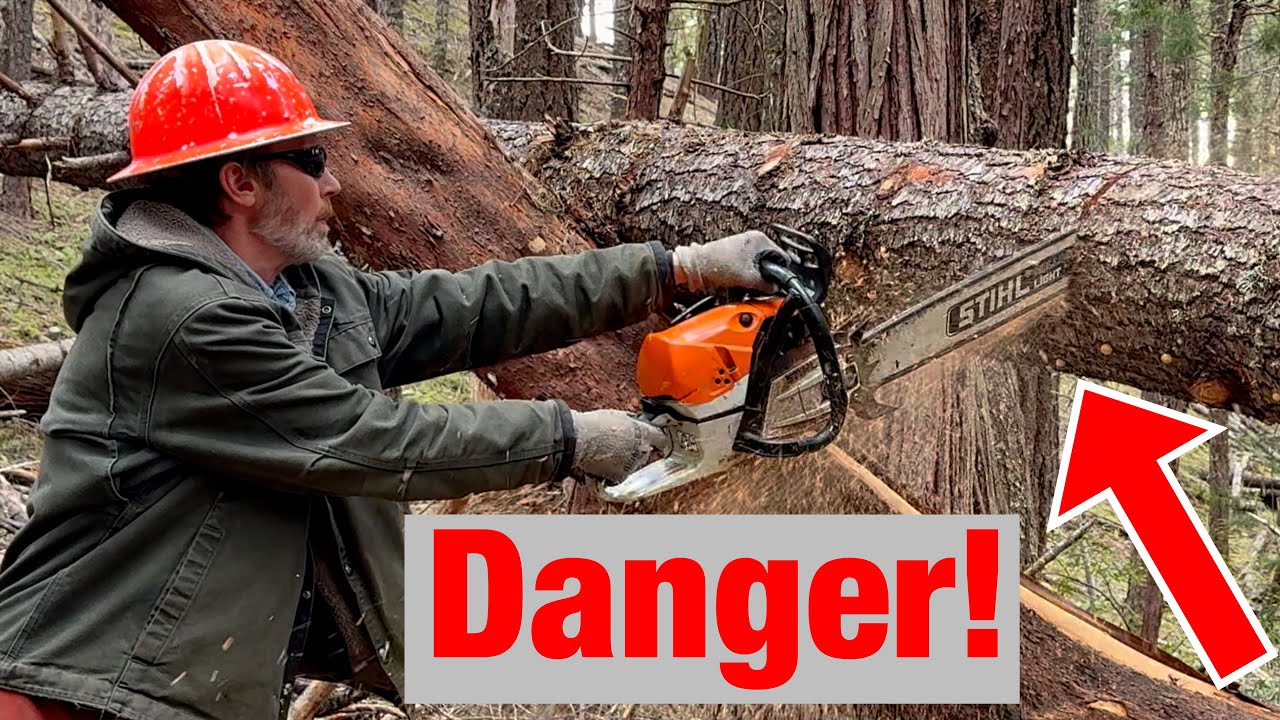 A must-have for beginners! STIHL Forestry Advance X-TREEM Harness