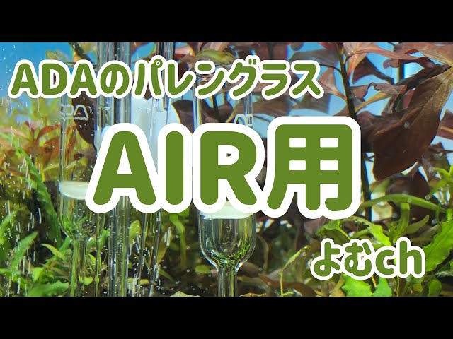 ADAのパレングラス、ADA用を見てみよう！CO2用と比較すると違いは