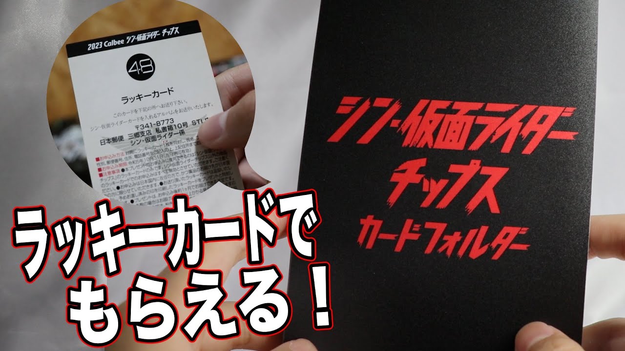 シン・仮面ライダー チップス ラッキーカード 2枚セット（ 48・115