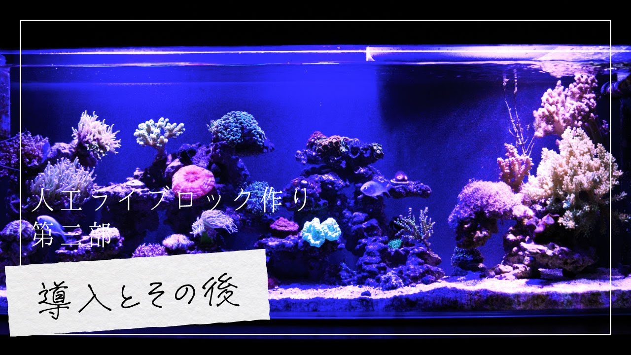 海水魚水槽】人工ライブロックに天然無機顔料で色塗り&アク抜き【第二