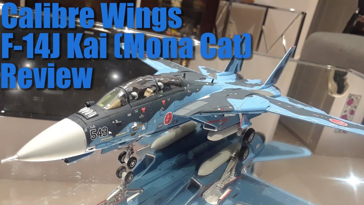 Calibre Wings F-14J Kai (Mona Cat) Review - YouTube