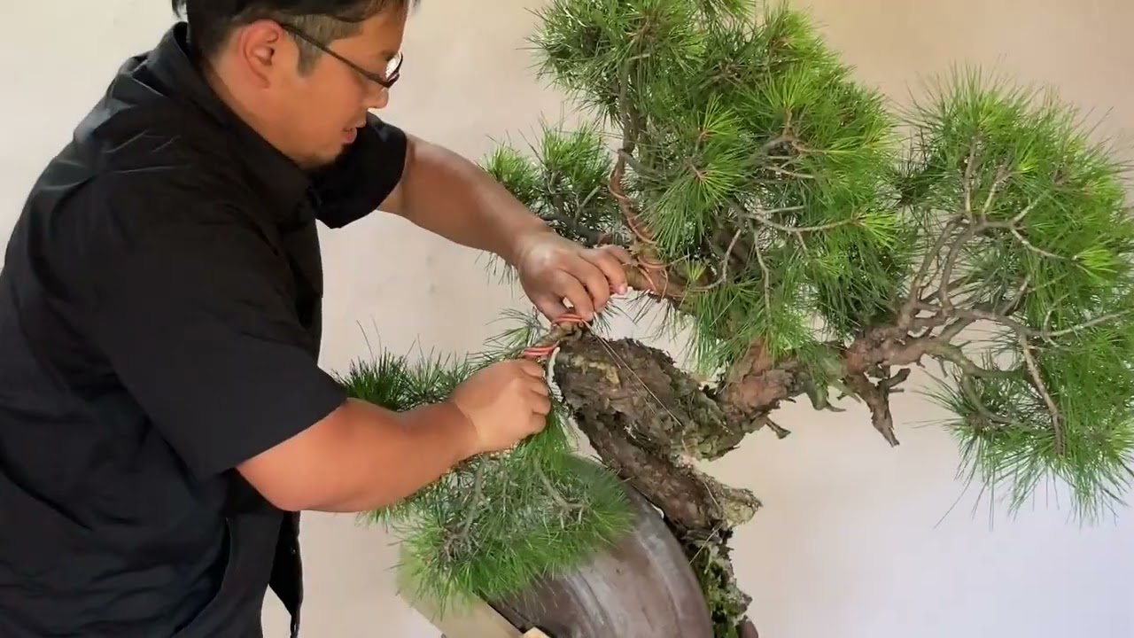 maxresdefault.jpg?sqp=-