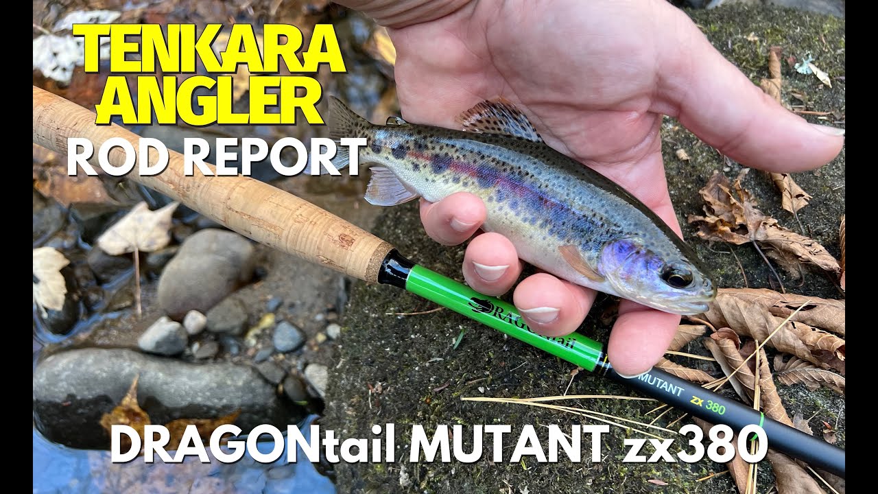 DRAGONtail Mutant zx380 Tenkara Rod Report and Review