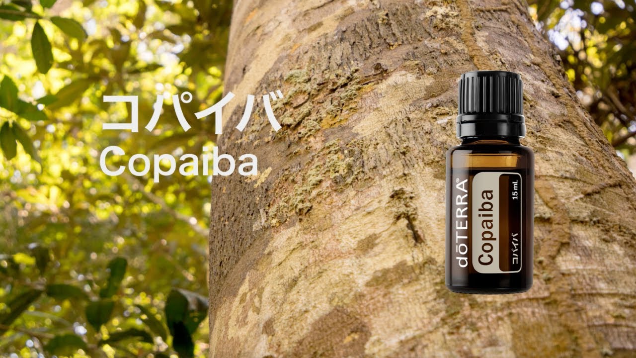 コパイバ - YouTube